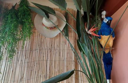 Les jardins de Diana - Foto 28