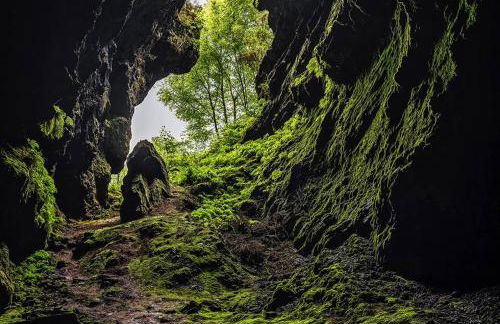 casa ferreirua - Foto 38