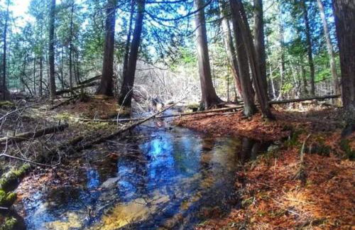 Barton City Lodge - Foto 37