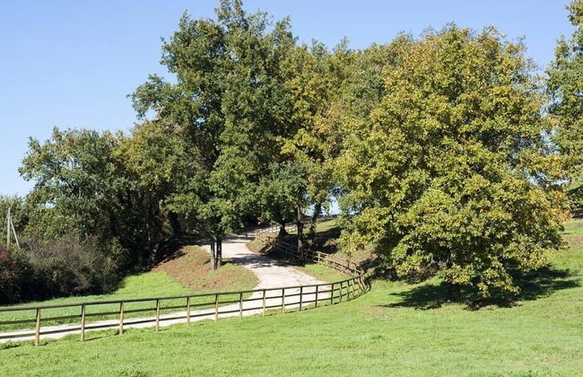 Agriturismo Borgo Imperiale - Foto 43