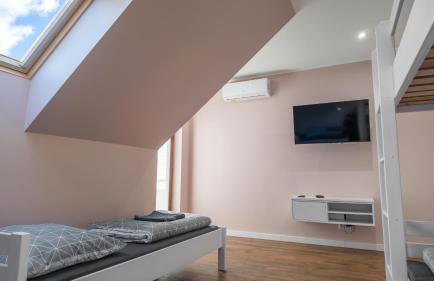 Przytulisko Leszczewek - Foto 12