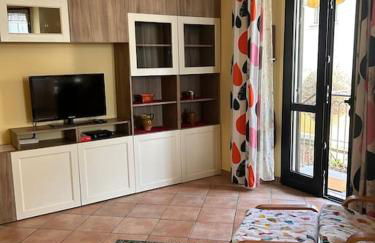 i tulipani - Foto 33