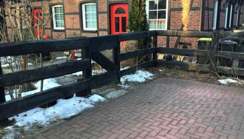 Welsh Dragon - Foto 5