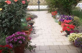 La casetta di samba - Foto 10