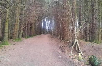 Lanarkshire Apartment- Views- Sleeps 4- Balcony - Photo 30