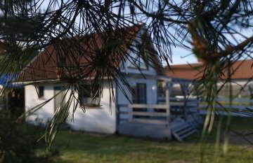 W ładnym polu n1 - Foto 1