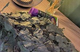 Ferienhaus mit Privatsauna - Foto 22