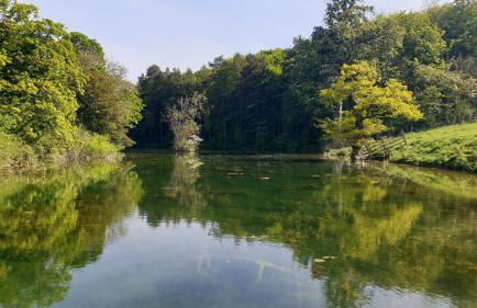 Holly Cottage, Hidden gem in the Yorkshire wolds - Foto 49