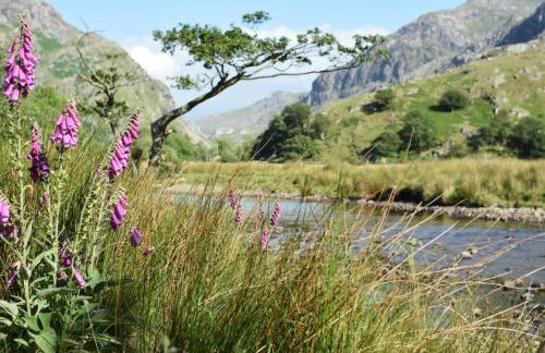 Terfyn Cottage - Photo 20