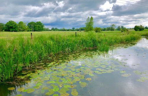 1 Tunns Cottages, Rushmere, nr Beccles - Foto 22