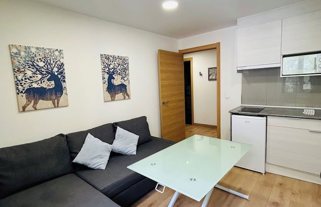 Apartahotel Canfranc - Foto 32