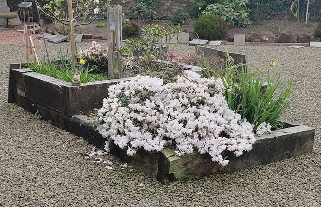 The Cabin Quiet, Relaxing and dog Friendly - Foto 7