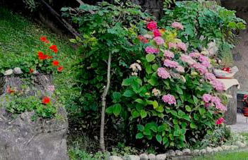 CASETTA INDIPENDENTE NEL VERDE PER 2/3 PERSONE - Photo 7