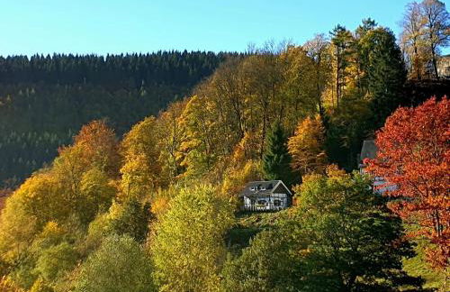 Jagthaus am Rappelstein - Foto 20