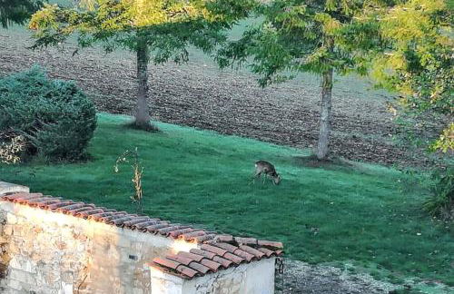 Maison de charme à Brantôme en Périgord avec piscine partagée - Foto 17