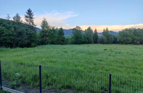 Jastrzębie Gniazdko - Foto 53