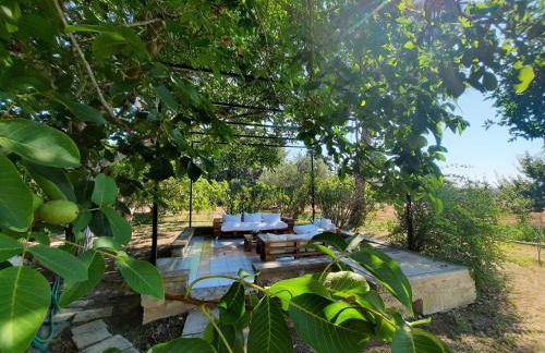 La Cecia - Casa vacanze nella campagna salentina - Foto 1