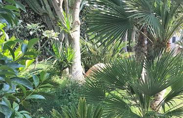 The queen's house - Foto 24