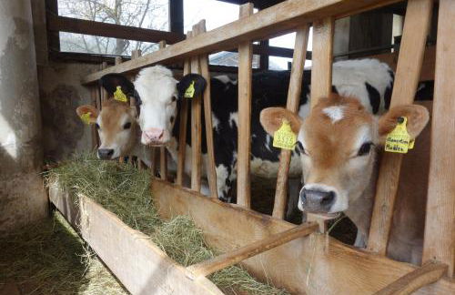 Agriturismo Anví - Photo 31