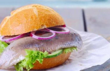 " Michaelas HUUS " zwischen den Meeren, Trappenkamp Holsteinische Schweiz - Foto 22