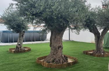 Casa das Andorinhas - Foto 20