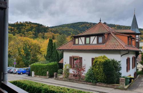 Gemütliche Ferienwohnung am Kurpark in Bad Herrenalb - Foto 9