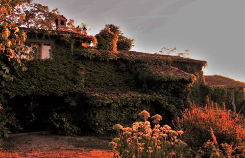 La Traversina - Agriturismo di Charme - Foto 53