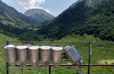 Arriu Mage 105 - Foto 8