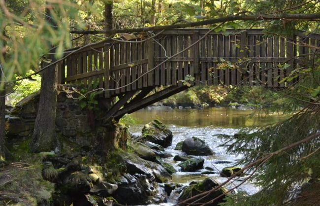 Adorable Aparment in Wildemann With Parking - Foto 70