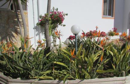 Apartamento - 2 a 4 Pessoas- Piscina - Foto 24