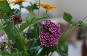 Drzewiecka Chata - Foto 23