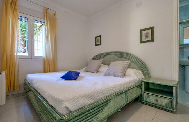 Eucaliptus - Foto 12