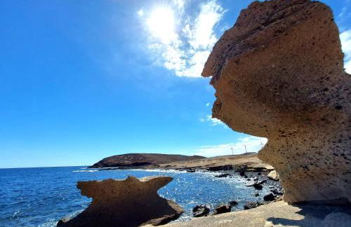 Mucha Vida - Foto 30