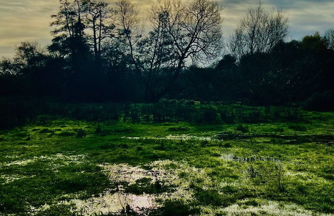 Dapps Hill Haven - between Bristol and Bath, both 9 mins by train! - Foto 36