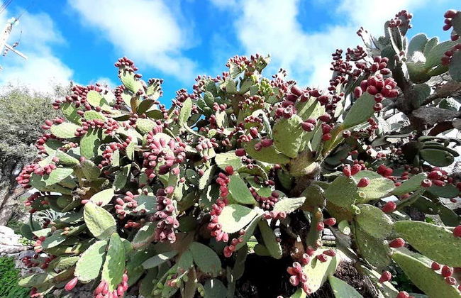 Escursionismo sul Sendero del Capitán - Foto 6