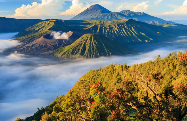 Mount Bromo Private Hiking Activity - Photo 1