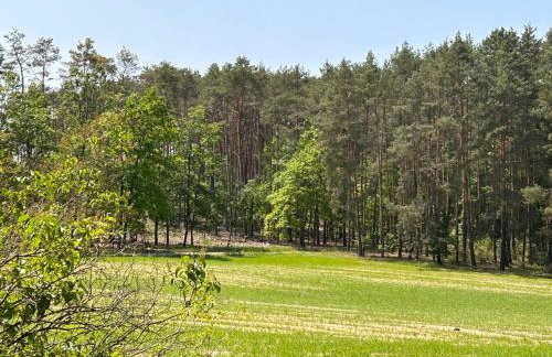 Dom Nad Jeziorem Trzy Tonie - Foto 37