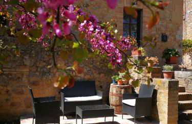 CLAUDIA VACANZA TOSCANA - Appartamento Nocciolo- 10 min da Siena - Foto 1