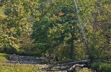 Charming Countryside Retreat - Foto 9