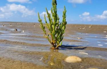 Landhaus Sonnenglück - Foto 12