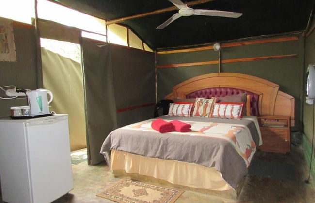 3 bed Bush-tent Under 3 Trees, for Couple Plus Chaperone Free Lionhyena Sounds - Foto 1