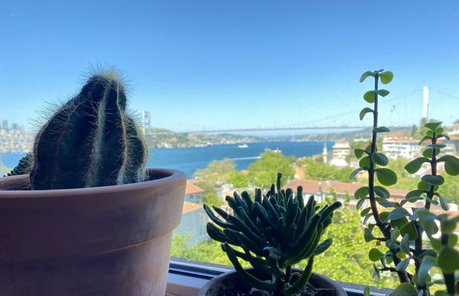 Flat With Bosphorus View and Backyard in Uskudar - Foto 4