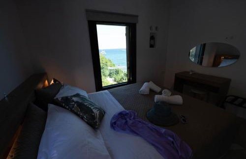 Villa Mimosa Poros Beachfront Apartments - Foto 32