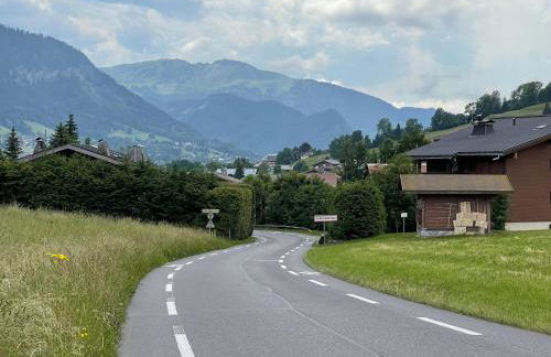 Marmotte du Jaillet Cosy and charmant appartement - Foto 37