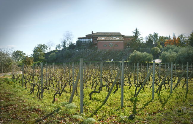 Agriturismo Kikajon - Foto 31