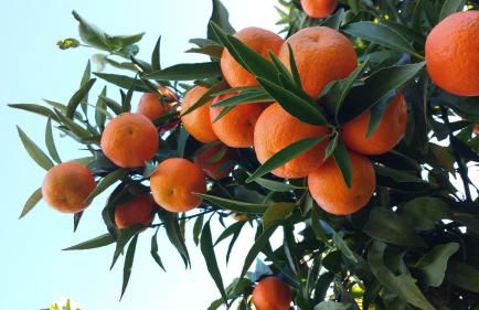 Casa Vacanza Piazza Gramsci 1 - Photo 21