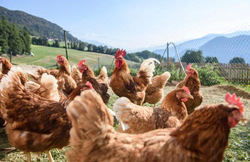 Oberschlichterhof - Foto 16