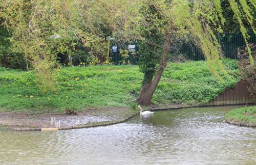 Thames Retreat - Foto 15