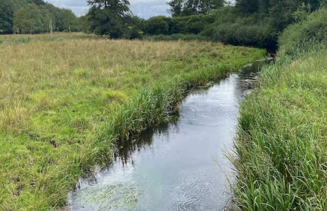 4 Person Holiday Home in Hovborg-by Traum - Foto 5