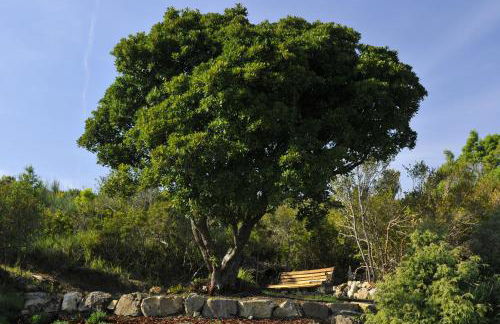 Serra Destri - Foto 17